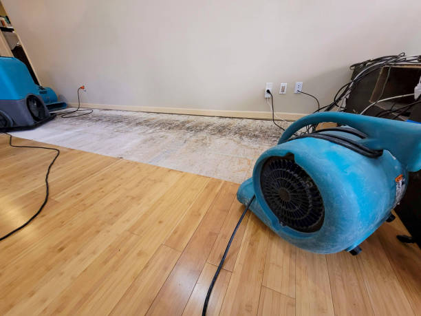 Reliable Basement Flood Cleanup contractor in Mission Hills, KS by Hirex Water Damage