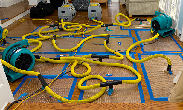 Professional Basement Flood Cleanup technician working in Mission Hills, KS